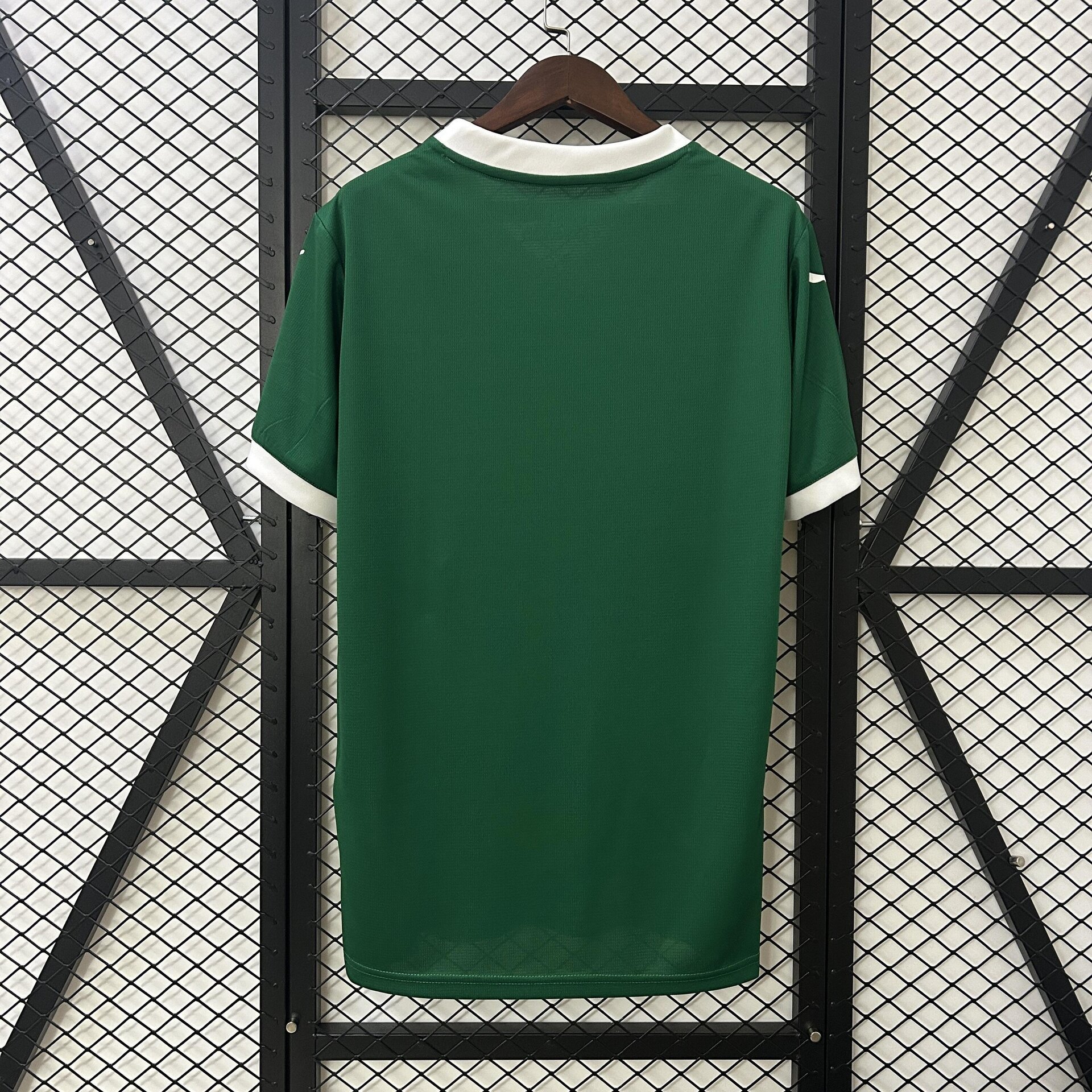 Camiseta SE Palmeiras EC 25/26 - 2